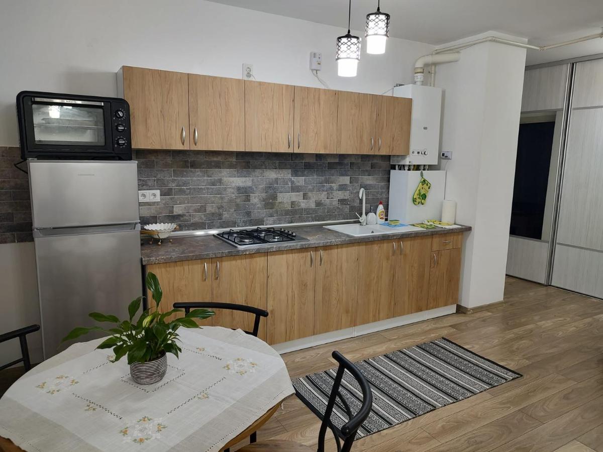 Апартаменты Casa Ioana Тыргу-Муреш Экстерьер фото
