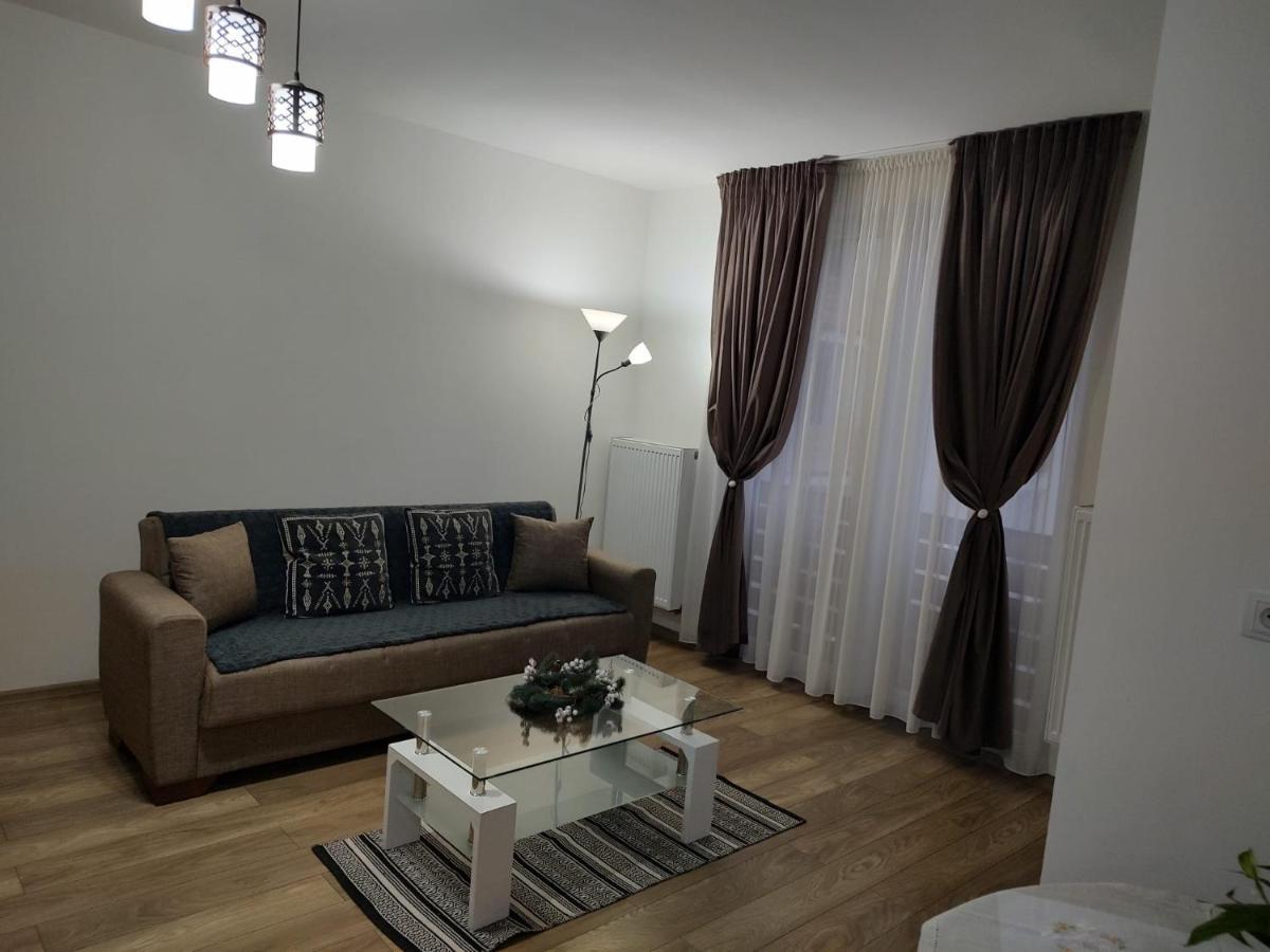 Апартаменты Casa Ioana Тыргу-Муреш Экстерьер фото